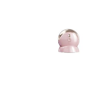 RF Beauty Instrument Facial Massage Whitening (Color: PINK)